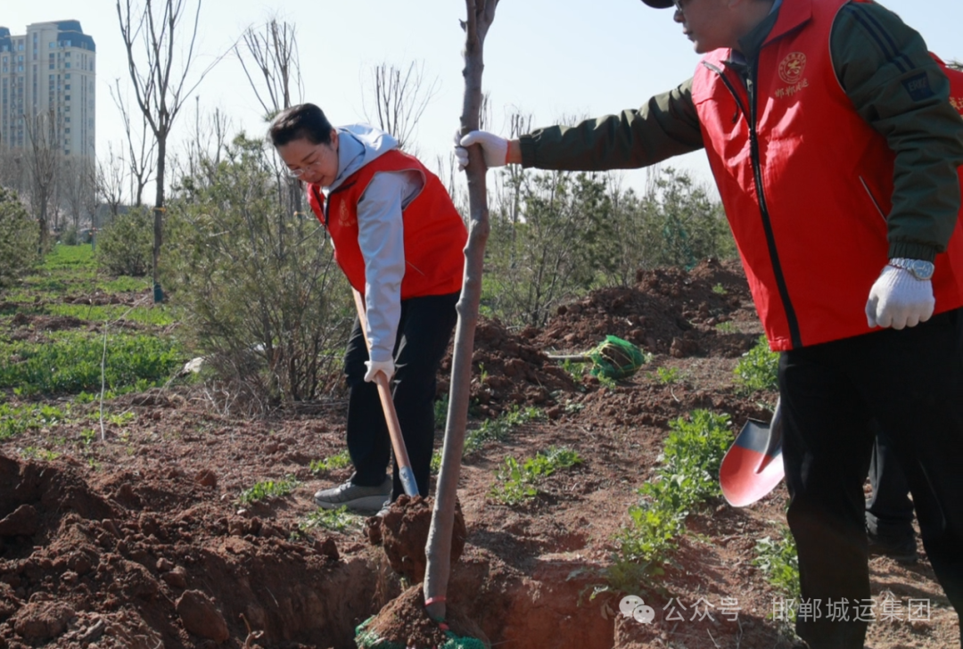 运营城市之美，共植绿色家园——市城运集团开展春季义务植树活动