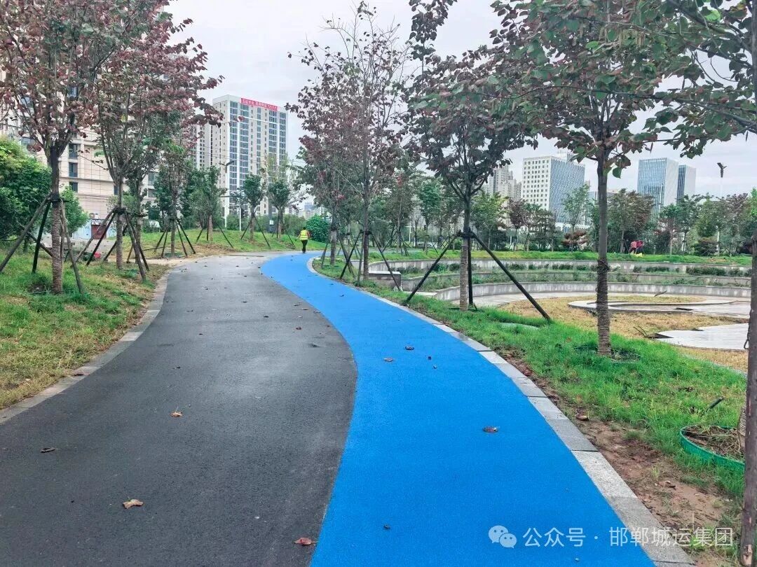 中心湖修整工作全部完成，实现圆满收官！