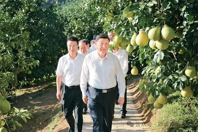 习近平:学习好贯彻好党的二十届四中全会精神 习近平:学习好贯彻好党的二十届四中全会精神